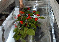 氷、制作中